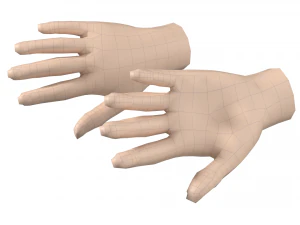 Malla de base de mano femenina 07 Modelo 3D
