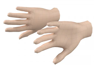 Malla de base de mano femenina 07 Modelo 3D