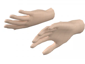 Malla de base de mano femenina 07 Modelo 3D
