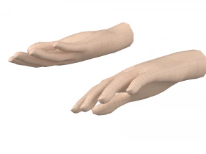 Malla de base de mano femenina 07 Modelo 3D