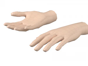 Malla de base de mano femenina 07 Modelo 3D