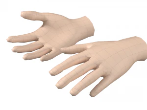 Malla de base de mano femenina 07 Modelo 3D