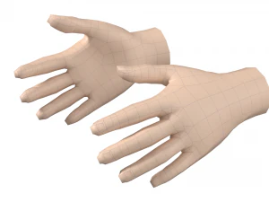 Malla de base de mano femenina 07 Modelo 3D