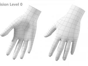 Malla de base de mano femenina 07 Modelo 3D
