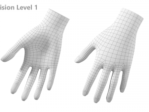 Female Hand Base Mesh 07 3D मॉडल