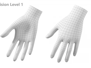 Malla de base de mano femenina 07 Modelo 3D