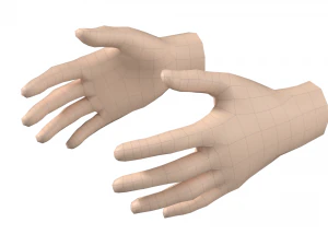 Female Hand Base Mesh 08 3D Model