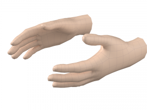 Female Hand Base Mesh 08 Modelo 3D