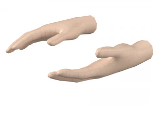 Female Hand Base Mesh 08 3D Model