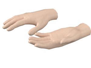 Female Hand Base Mesh 08 Modelo 3D