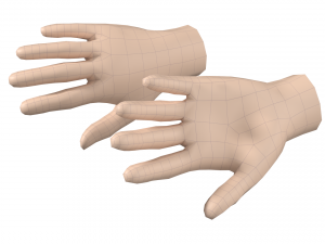 Female Hand Base Mesh 08 Modelo 3D