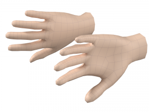 Female Hand Base Mesh 08 Modelo 3D