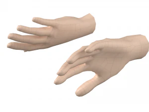 Female Hand Base Mesh 08 3D Model