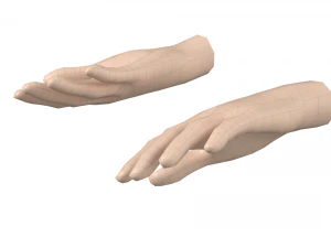 Female Hand Base Mesh 08 3D Model