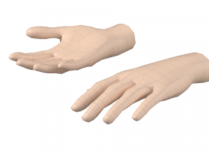 Female Hand Base Mesh 08 Modelo 3D