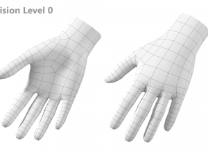 Female Hand Base Mesh 08 Modelo 3D