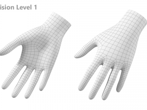 Female Hand Base Mesh 08 Modelo 3D