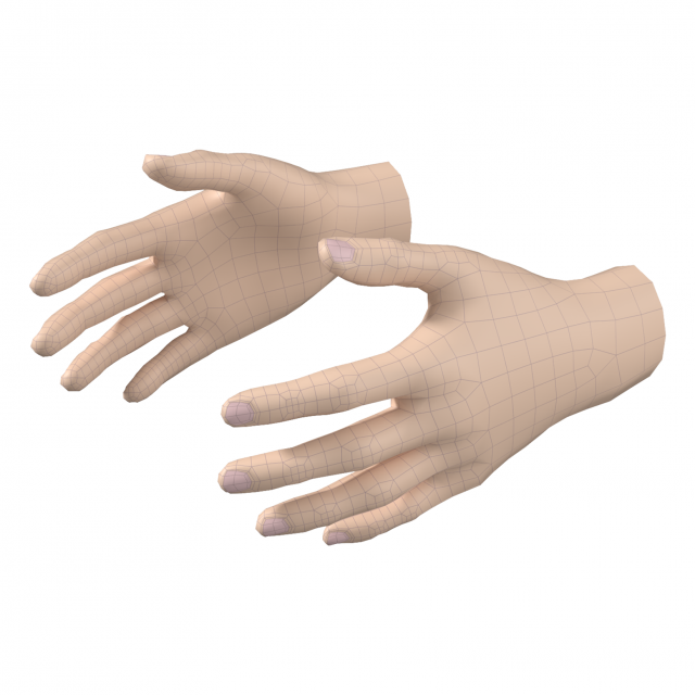 Female Hand Base Mesh 09 Modelo 3D .c4d .max .obj .3ds .fbx .stl .blend 