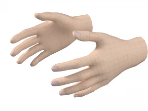 Female Hand Base Mesh 09 3D Model