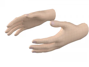 Female Hand Base Mesh 09 3D Model