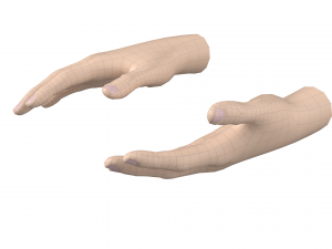 Female Hand Base Mesh 09 Modelo 3D