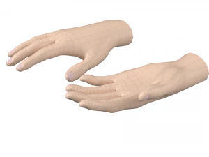 Female Hand Base Mesh 09 3D Model