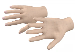 Female Hand Base Mesh 09 3D Model