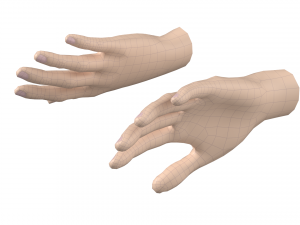 Female Hand Base Mesh 09 Modelo 3D