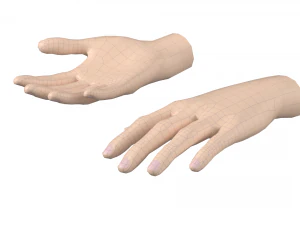 Female Hand Base Mesh 09 3D Model