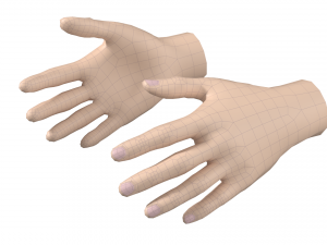 Female Hand Base Mesh 09 Modelo 3D