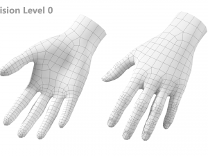 Female Hand Base Mesh 09 Modelo 3D