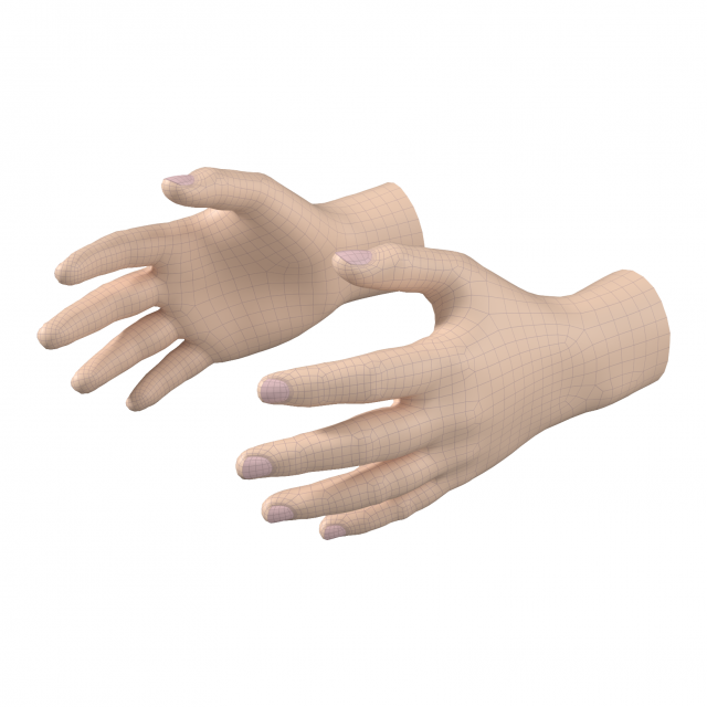 Male Hand Base Mesh 01 3D Model .c4d .max .obj .3ds .fbx .stl .blend 