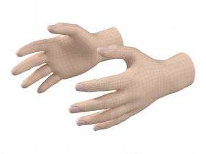 Male Hand Base Mesh 01 Modelo 3D