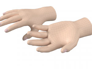 Male Hand Base Mesh 01 3D Model