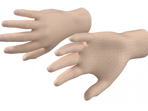 Male Hand Base Mesh 01 3D Model