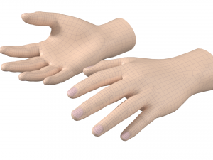 Male Hand Base Mesh 01 3D Model