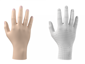 Male Hand Base Mesh 01 3D Model