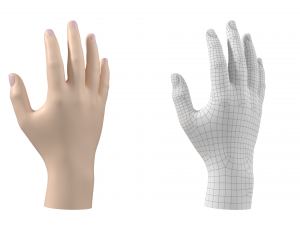 Male Hand Base Mesh 01 3D Model