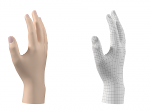 Male Hand Base Mesh 01 3D Model