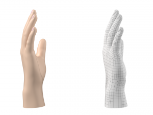 Male Hand Base Mesh 01 3D Model