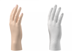 Male Hand Base Mesh 01 3D Model