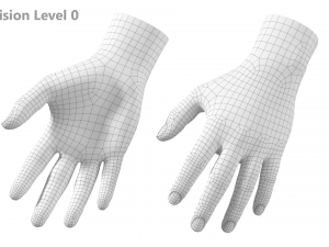 Male Hand Base Mesh 01 3D Model