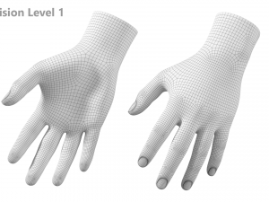 Male Hand Base Mesh 01 3D Model