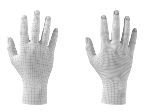 Male Hand Base Mesh 01 3D Model