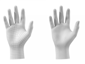 Male Hand Base Mesh 01 3D Model