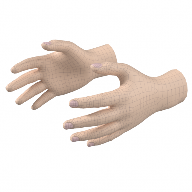 Male Hand Base Mesh 02 Modello 3D .c4d .max .obj .3ds .fbx .stl .blend 