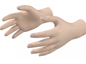 Male Hand Base Mesh 02 Modello 3D