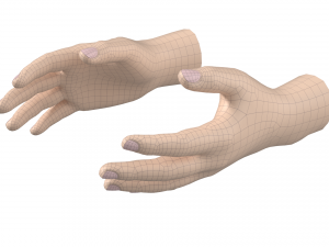 Male Hand Base Mesh 02 Modello 3D