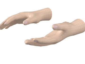 Male Hand Base Mesh 02 Modello 3D