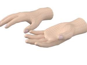 Male Hand Base Mesh 02 Modello 3D